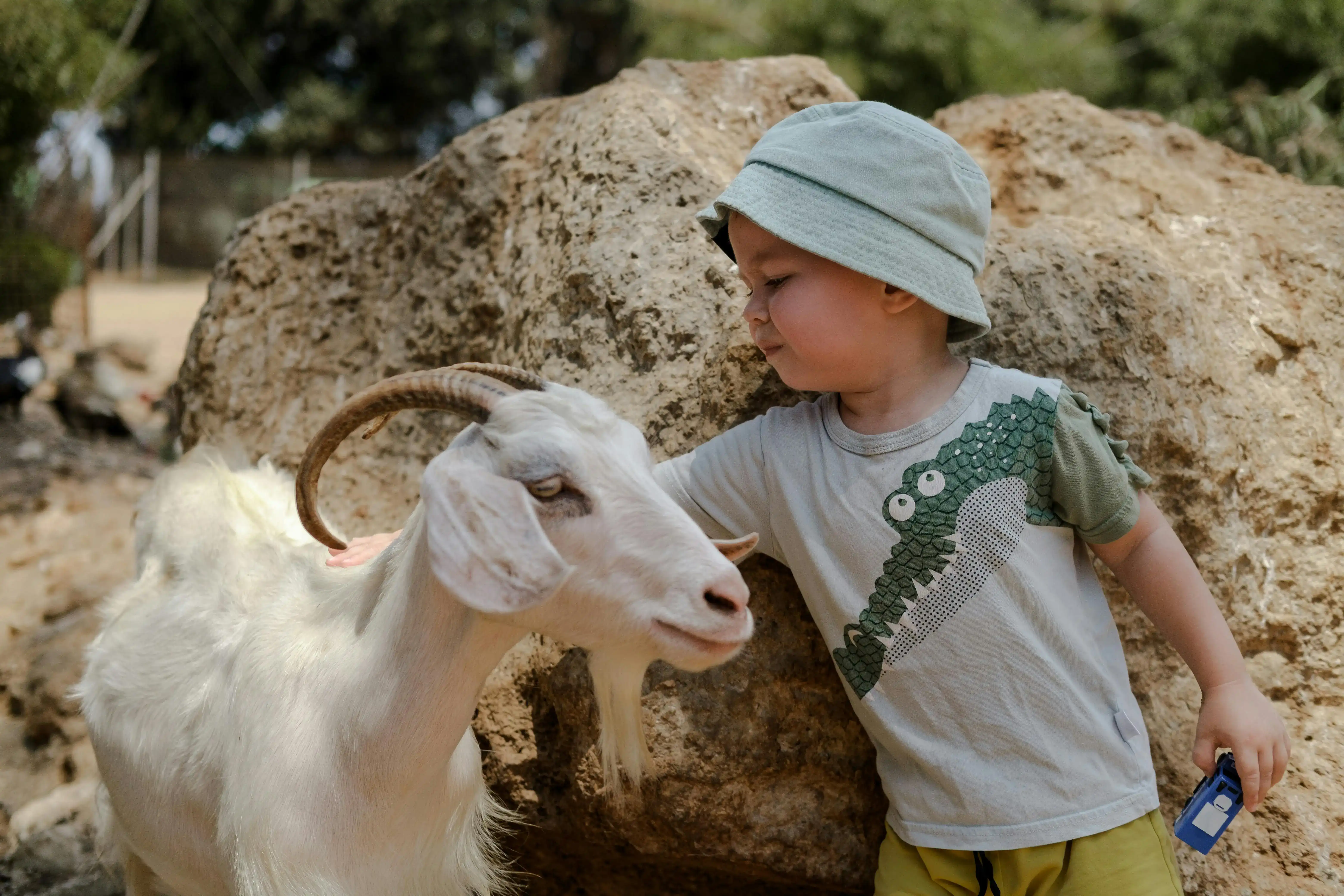 Child petting a goat